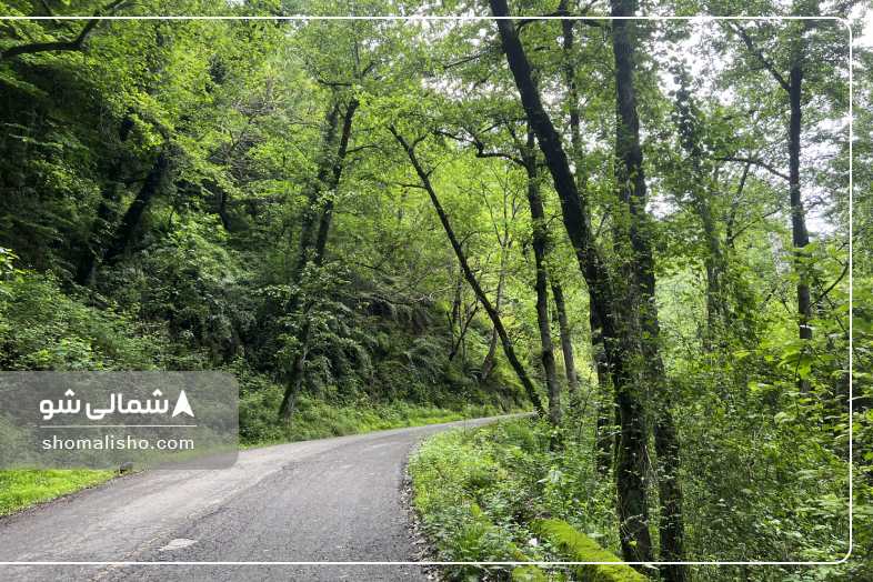 جاده اربکله رامسر