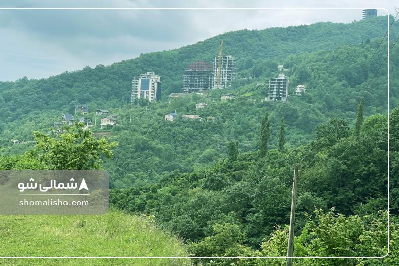 جنگل اربکله