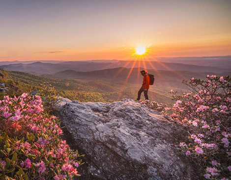 مزیت شمالی شو