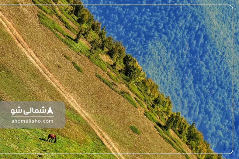 ییلاق گرسماسر