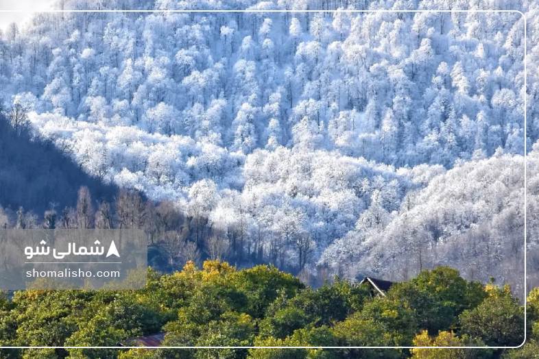 سماموس از جواهرده